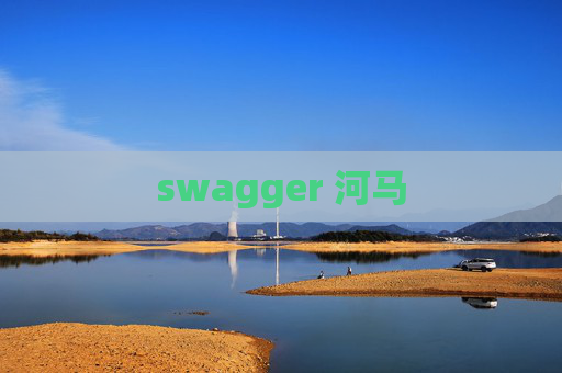swagger 河马